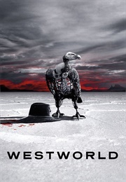 Westworld TV Show (2016)