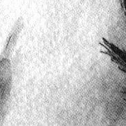 Falling Snow - Agalloch