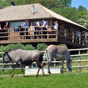 Livingstone Lodge, UK