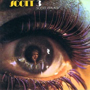 It's Raining Today - Scott Walker