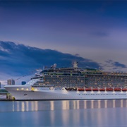 Celebrity Reflection