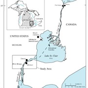 Lake Erie at Detroit River, Michigan