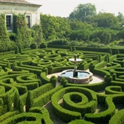 Visit a Maze