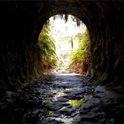 Glowworm Tunnel