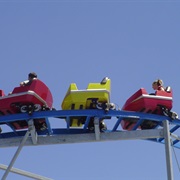 Wildcat - Wild Island