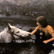 Artax, the Neverending Story