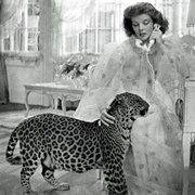 Baby ( Bringing Up Baby)