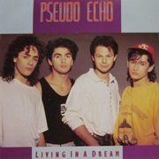 Psuedo Echo