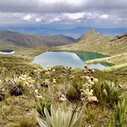Chingaza National Park, Cundinamarca