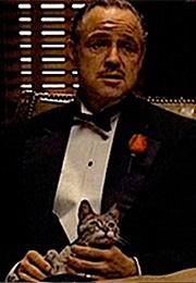 Don Corleone's Cat, the Godfather (1972)