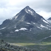 TVerrbytthornet