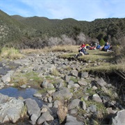 Te Puia Lodge, Kaweka Forest Park