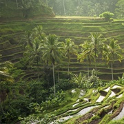 Cultural Landscape of Bali - Indonesia
