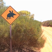Track Into Francois Peron NP - Watch Out for Bilbys