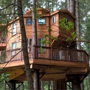 Vertical Horizons Treehouse Paradise