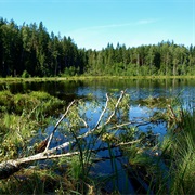 Kurula National Park, Estonia