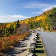 Acadia All-American Road