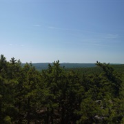 Abram S. Hewitt State Forest, New Jersey