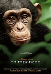 Chimpanzee (2012)
