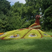 Insel Mainau, Germany