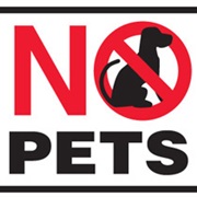 No Pets