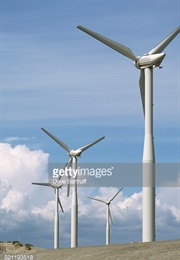 Generation on the Wind (1979)