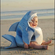 Eaten by a Shark