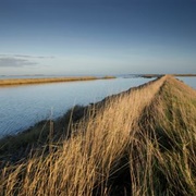 Wallasea Island