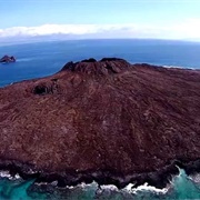 Sombrero Chino, Galapagos