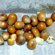 Unpoped Popcorn From the Bottom of the Bowl