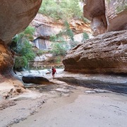 Canyoning Trips (Subway, Orderville Canyon, Etc.) in Zion Wilderness, USA