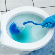 Cleaned a Toilet