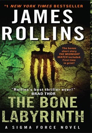 The Bone Labyrinth (James Rollins)
