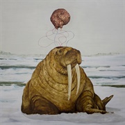 Tanya Tagaq - Toothsayer