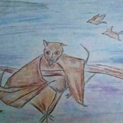 Noir Angelina Jensen