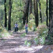 Wellington National Park (WA)