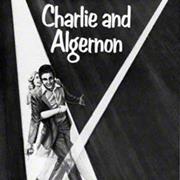Charlie and Algernon