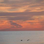 Port Bruce Provincial Park