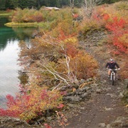 Mountain Bike the McKenzie River Trail