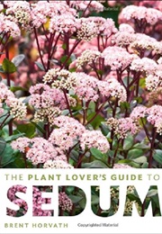 Sedums (Brent Horvath)