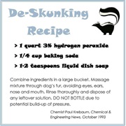 Hydrogen Peroxide, Baking Soda, & Soap to De-Sunk Pet