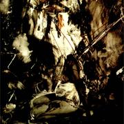 Fields of the Nephilim