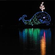 Electrical Water Pageant