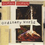 Ordinary World