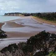 Long Bay Walk - Easy (2 Hours 30 Mins)