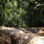 Ujung Kulon National Park