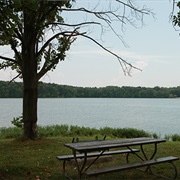 Stephen A. Forbes State Recreation Area, Illinois