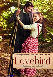 Çalıkuşu (Lovebird) (2013)
