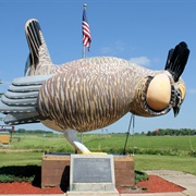 World's Largest Blooming Prairie Chicken, Rothsay, Minnesota