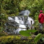 Parque Nacional Soberanía, Panama